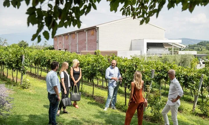 Tour and Tasting of Organic Wines in Lazise