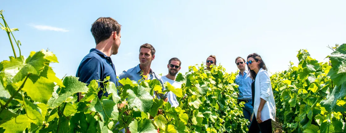 Short day family grower tour and lunch from Epernay