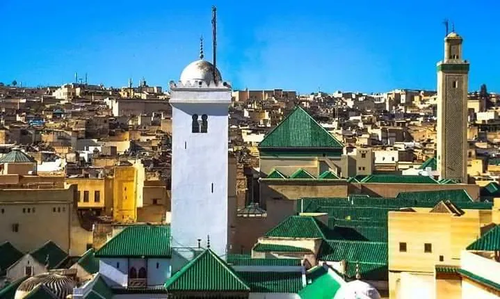 Half Day Tour In Fez Medina With (Private) Tour Guide