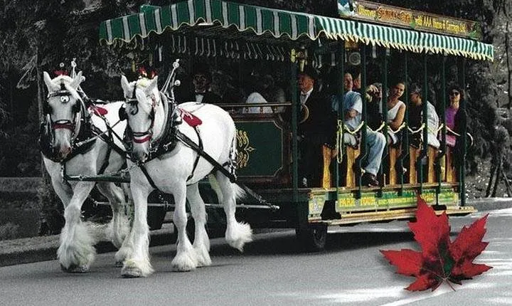 Best Selling Vancouver Sightseeing Tour 5 Hours(Private setting)