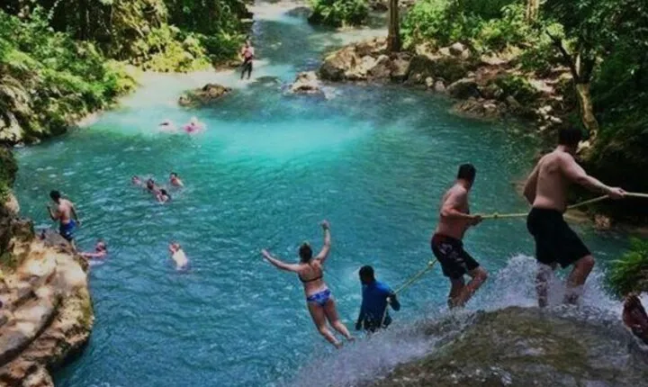 Half- Day Private Bob Marley 9 Mile and Dunns River Falls Tour