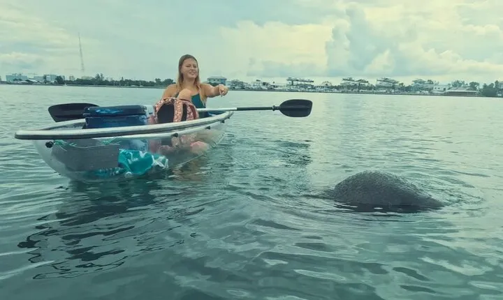 3-Hour Clear Kayak Beach Hopping Adventure in Sarasota