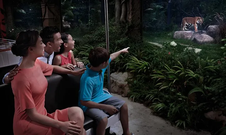 Singapore: Night Safari Entry Ticket
