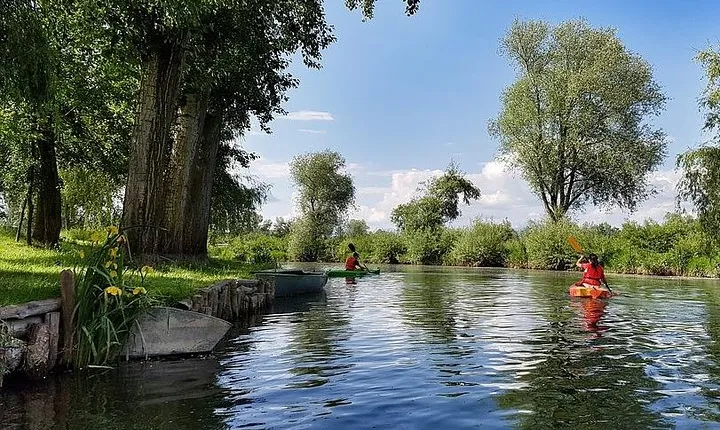 Ljubljana Like a Local: Customized Private Tour