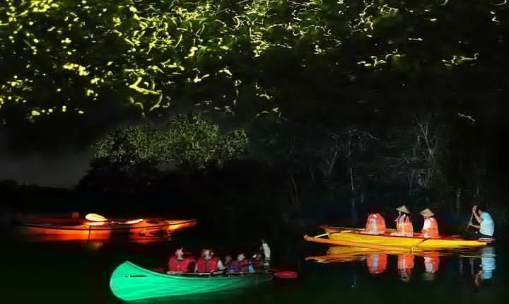 Bohol Firefly Watching (Private)