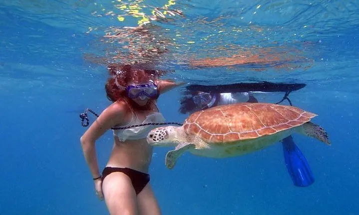 Florida Keys Eco Tour: Snorkel, Kayak, Lunch + Transportation!