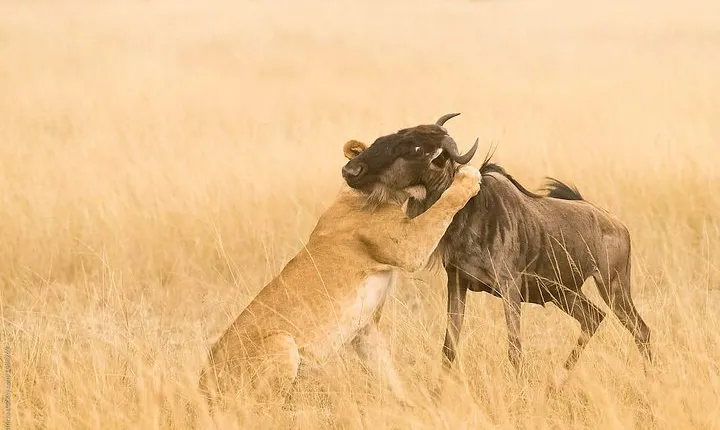 10 Day Signature Epic Wilderness