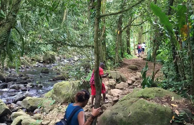 Small-Group Hiking Adventure through Grand Etang National Park in Grenada