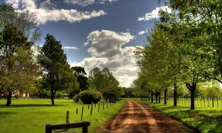 Private Visit Village in San Antonio de Areco and a Estancia
