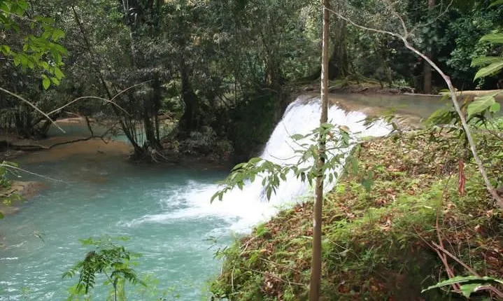 Blue Hole and Ocho Rios Tour from Montego Bay