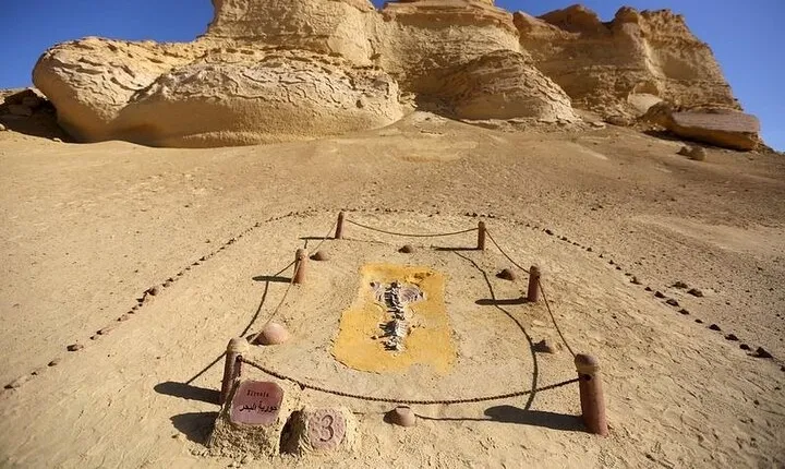 Private Tour to Whales Valley & Wadi El Rayan Waterfalls in El Fayoum from Cairo