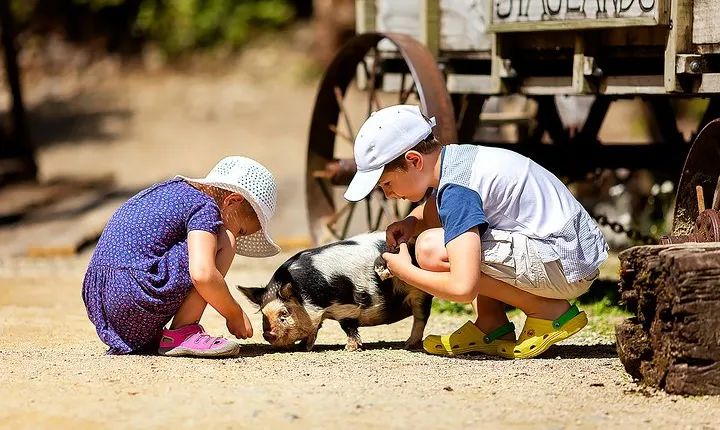 Skip the Line: Staglands Wildlife Reserve Entry Ticket