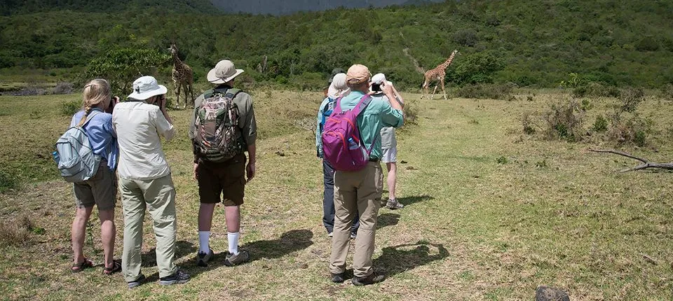 Arusha National Park Day tour