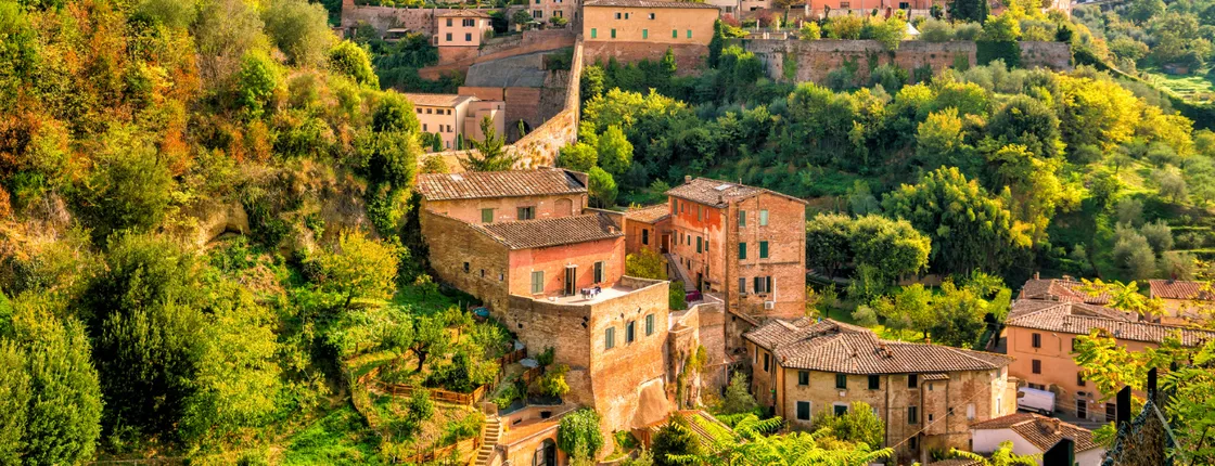 Private Tour from Florence to Siena, San Gimignano & Pisa