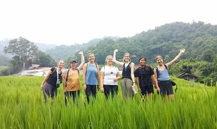 Eco 1.45Hours Hiking @Pha Dok Siaw + Doi Inthanon & Royal Project