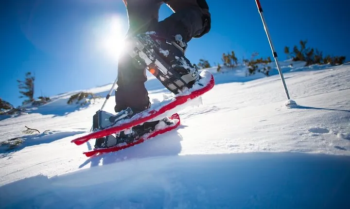 Winter Hiking Set for Snowshoes and Trek Poles