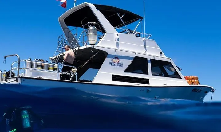 Premium Afternoon Scuba Charter for All Certified Diver Levels