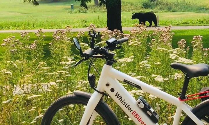 eBike Adventure in Whistler