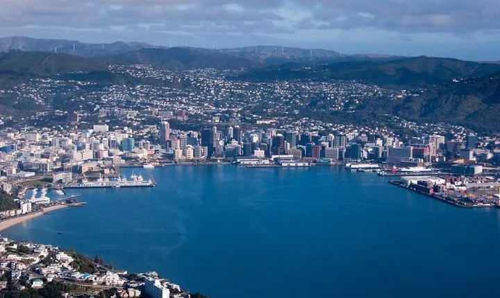 Wellington Shore Excursion City Sightseeing Tour