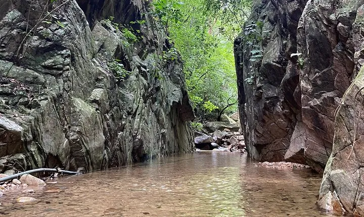 El Nogalito Mountain and Waterfall Half-Day Hiking Tour
