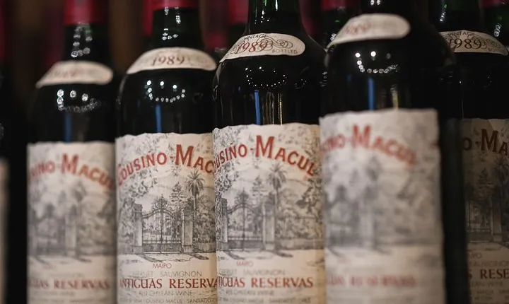 "Tour Tradicional" Viña Cousiño Macul Oficial español