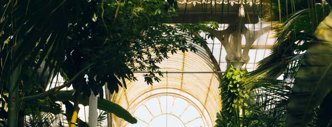 Kew Gardens audio walking tour guided by expert botanist