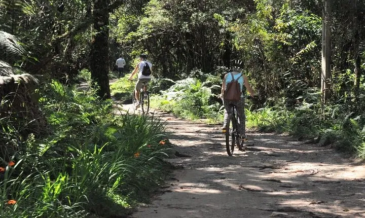 Bicycle rental in Horto Florestal - Campos do Jordão