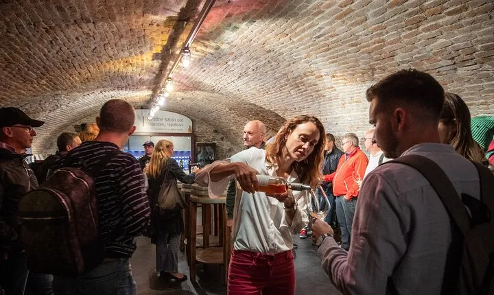 Wine Tasting with Sommelier in Bratislava
