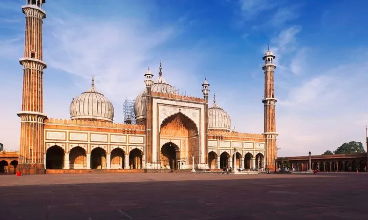 Full Day Old and New Delhi City tour 