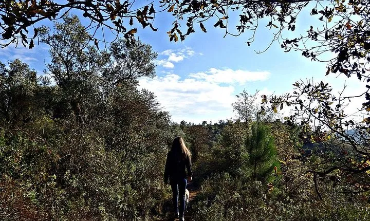 A journey through the forgotten Sierra ... - Serra de Brasfemes, Coimbra