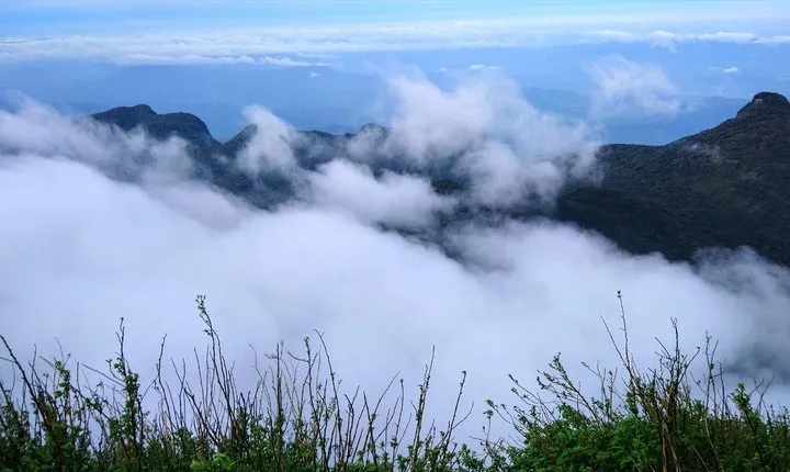 The backpackers trail to Elephant Spine – Knuckles