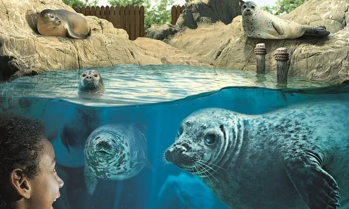 Hunstanton SEA LIFE Sanctuary General Admission Ticket