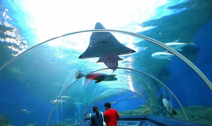 Pattaya Underwater World Tickets