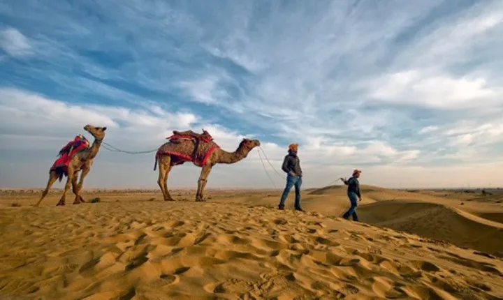 Experience Camel Safari With Folk Dance & Dinner