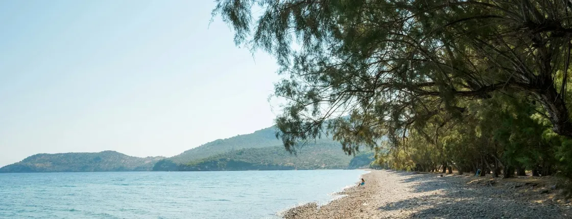 North Lesbos Boat Cruise with Barbecue from Petra