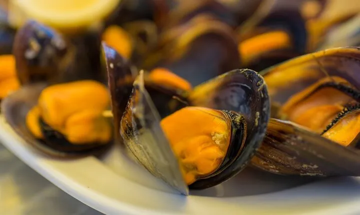 Private Gastronomical Tour in Santiago de Compostela