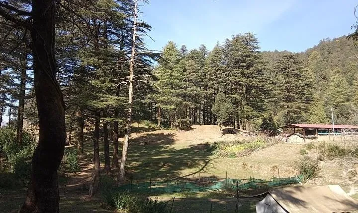 George Everest Nature Walk | Mussoorie
