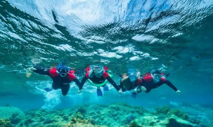 Busselton Jetty and Underwater Sculptures Snorkel Boat Tour