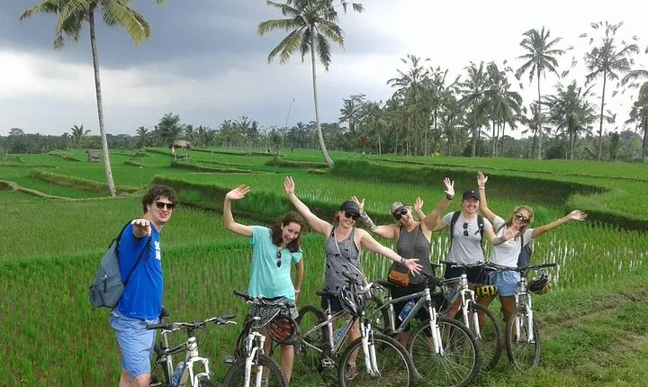 Downhill Bali Countryside Cycling Tour - With Halo Bike Tour