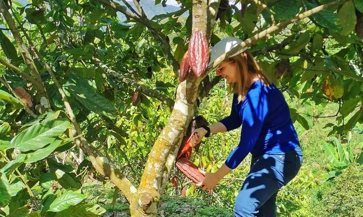 Chocolate Farm Private Tour in Medellin: Real Genuine Experience