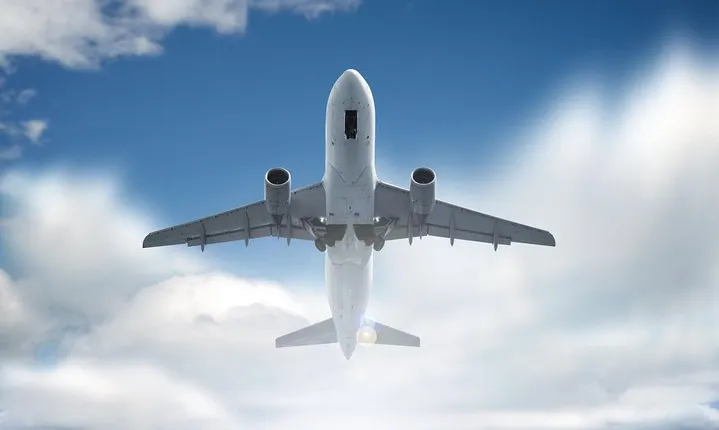 Private Transfer from Sorrento to Naples Airport or Station