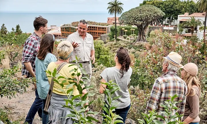 VIP Grand Tour Isla de Tenerife from South Tenerife