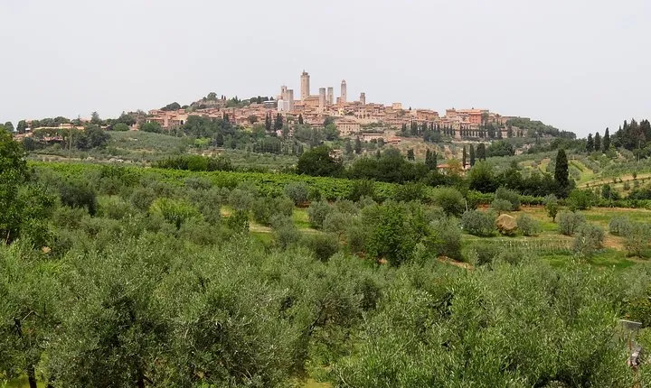Private Tour to Siena and San Gimignano with Wine Tasting & Lunch