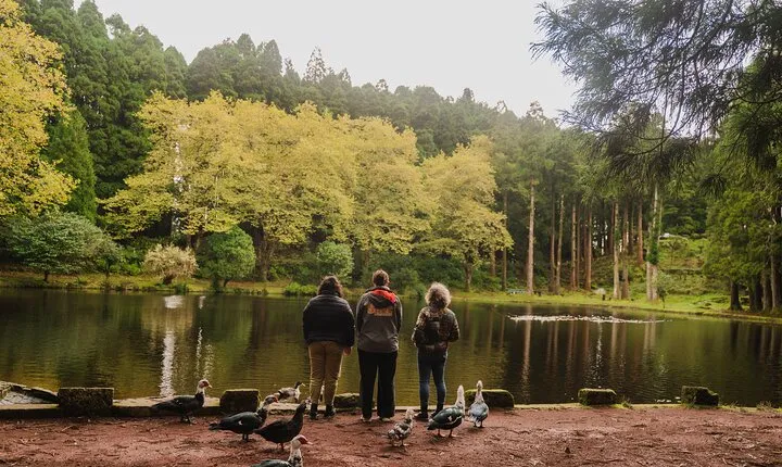 From Angra: Terceira Island Full-Day Tour (Shared Tour)