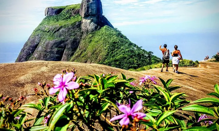 Tijuca Forest Half-Day Hike (Small Group or Private)
