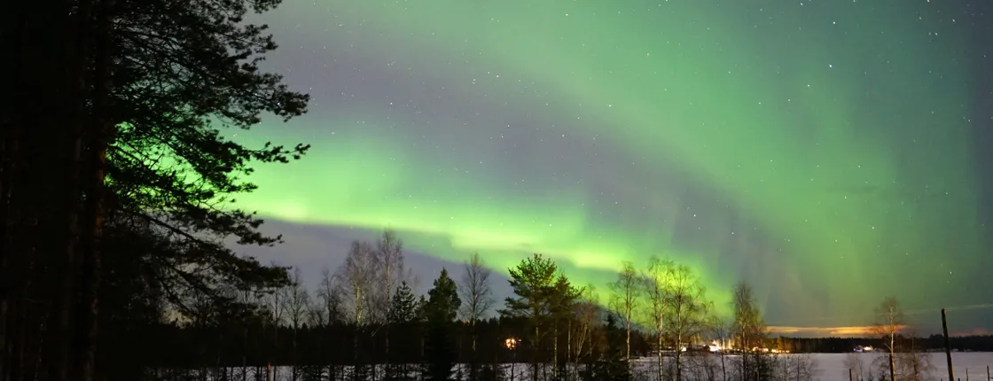 Chase the Aurora during a reindeer safari