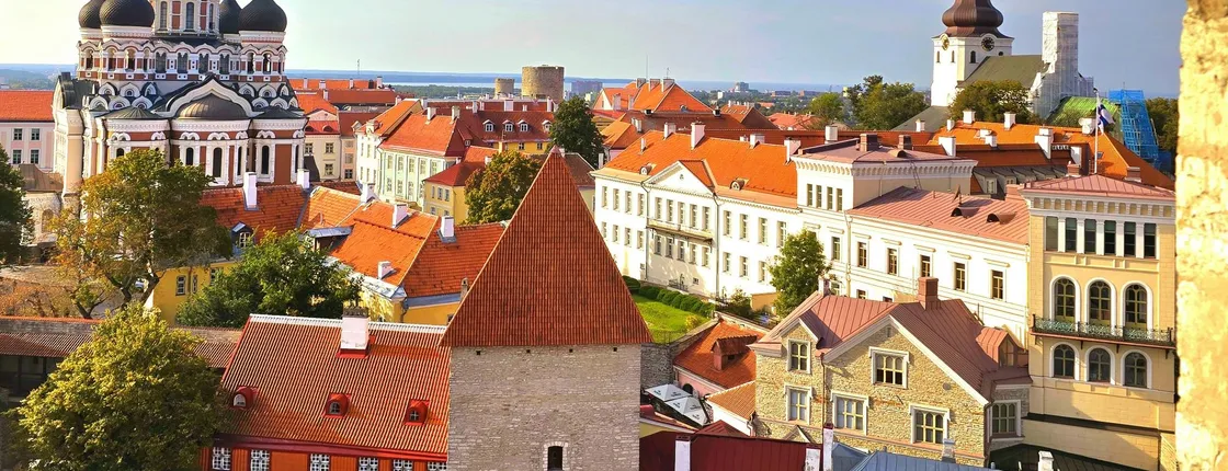 Private Old Tallinn walking tour