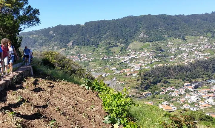 Maroços - Mimosa Valley