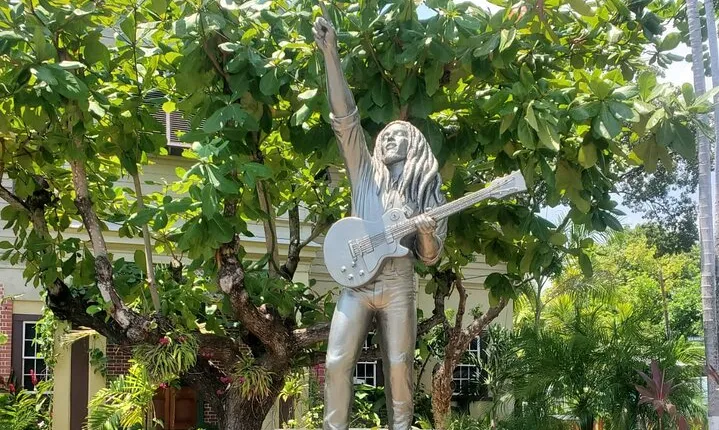 Private Kingston and Bob Marley Museum Tour from Ocho Rios