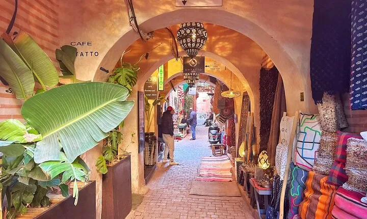 Guided Walking Tour of Marrakech